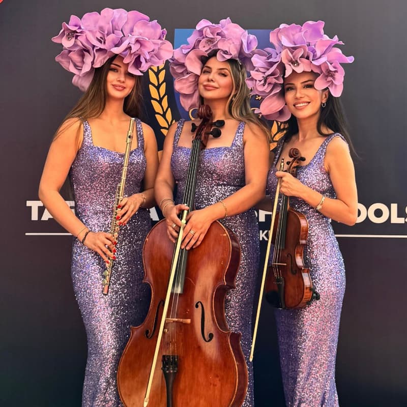 Müzik Etkinlikleri